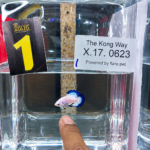 Juara 1 Exotic Form Shortfin